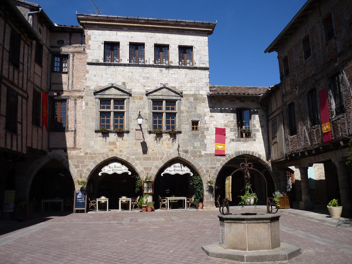 Hotel Des Consuls Castelnau-de-Montmiral Exterior foto
